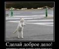 Картинка №: <b>3098</b><br>Добавил:<b> Vetall</b><br>Категория: <b>Демотиваторы</b>