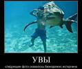 Картинка №: <b>3107</b><br>Добавил:<b> Vetall</b><br>Категория: <b>Демотиваторы</b>