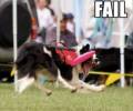 Картинка №: <b>2287</b><br>Добавил:<b> Vetall</b><br>Категория: <b>Epic Fail</b>